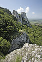 Trn s Martinky - hlavn odkaz