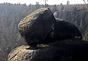 Tvar - hlavn odkaz