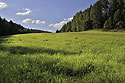 Na louce - hlavn odkaz