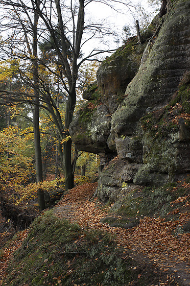 Cesta ve skalch - men formt