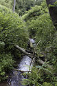 Ruprechtick potok - hlavn odkaz
