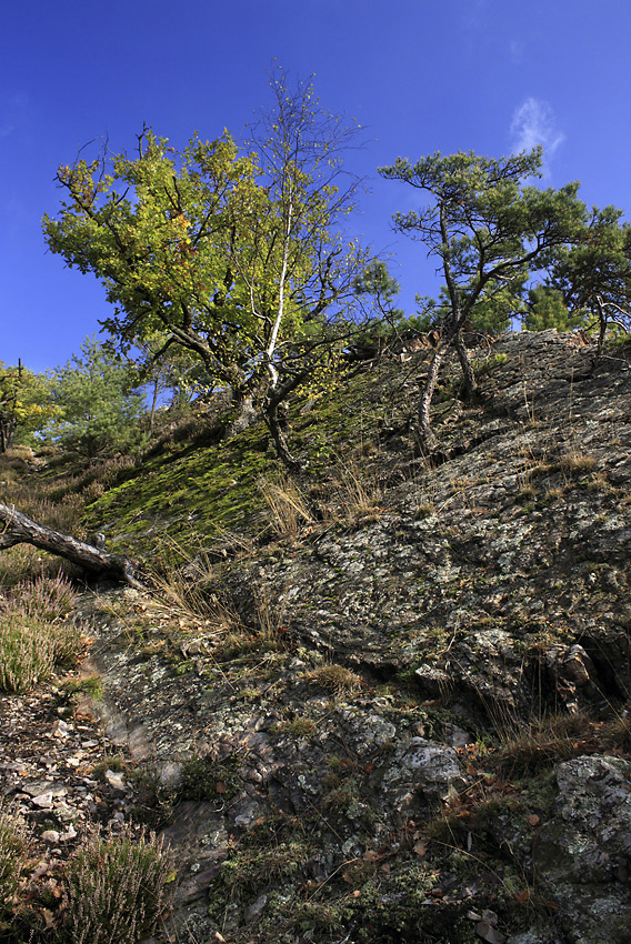 Na Mal Babce - vt formt