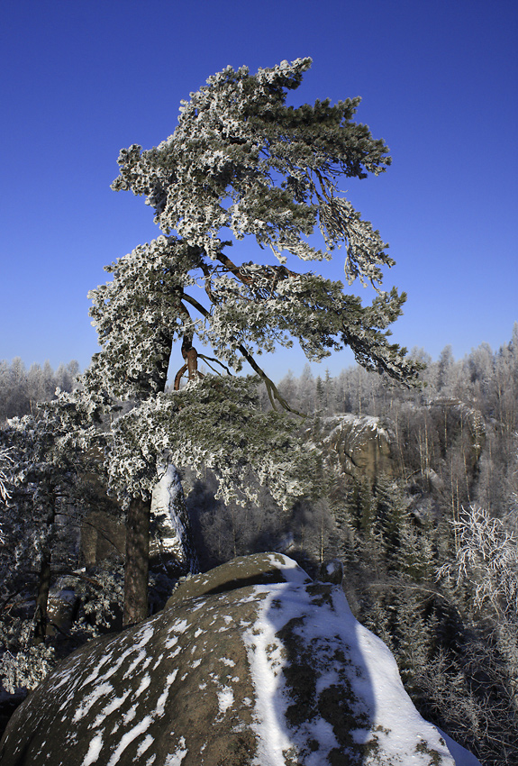 Na skle - vt formt