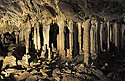 Hout - hlavn odkaz