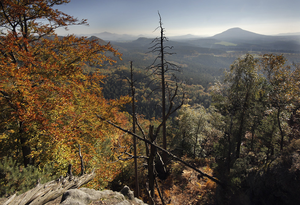 Panorama - vt formt