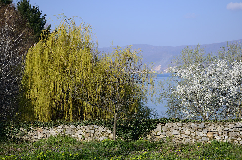 U sv. Nauma - vt formt