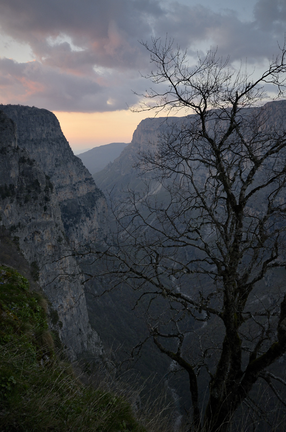 Kaon Vikos - vt formt