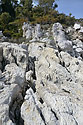Na skalch u vody - hlavn odkaz
