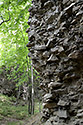 Ruiny - hlavn odkaz