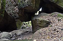Ve skalch - hlavn odkaz