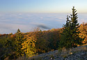 Zpadn obzor - hlavn odkaz