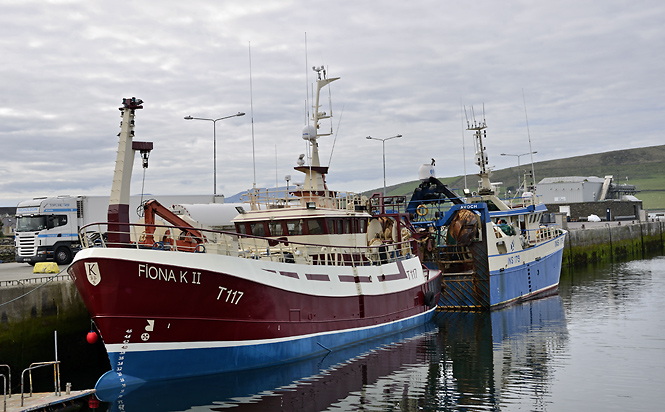 V pstavu Dingle - men formt