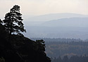 Odstny - hlavn odkaz