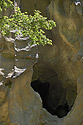 Dra - hlavn odkaz