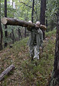 Ppravy - hlavn odkaz