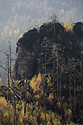 Tyky - hlavn odkaz