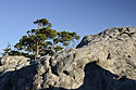 Na Hejovin - hlavn odkaz