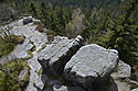 Nronk - hlavn odkaz