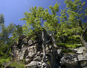 Bl skla - hlavn odkaz