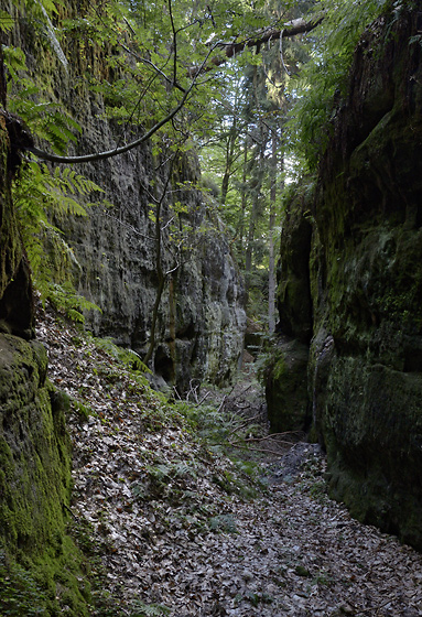 Cesta ve skalch - men formt