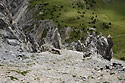 Skly - hlavn odkaz
