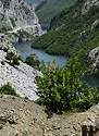 Komnsk pehrada - hlavn odkaz