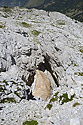 Propast - hlavn odkaz