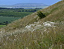 Vlasy - hlavn odkaz