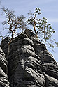 Ve skalch - hlavn odkaz