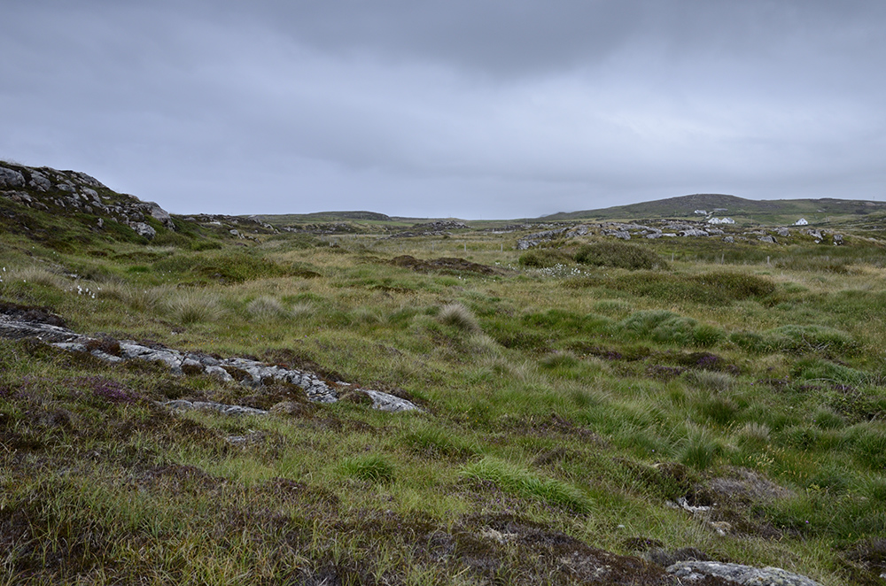 Krajina u Malin Head - vt formt