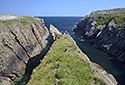 Ztoky - hlavn odkaz