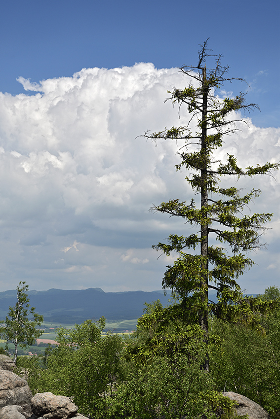 Clouds over "Maple Mts." - larger format