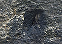 Fulgurite - main link