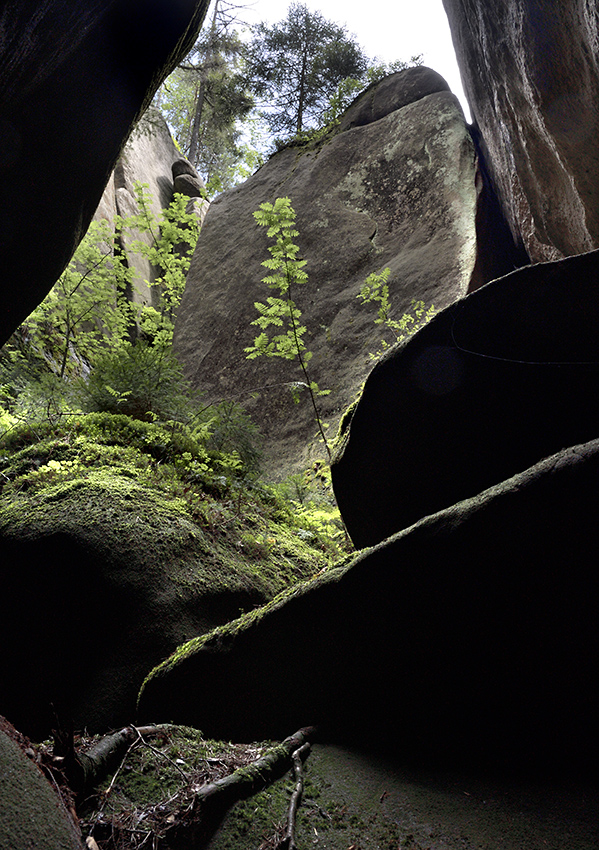 View from the cave - larger format