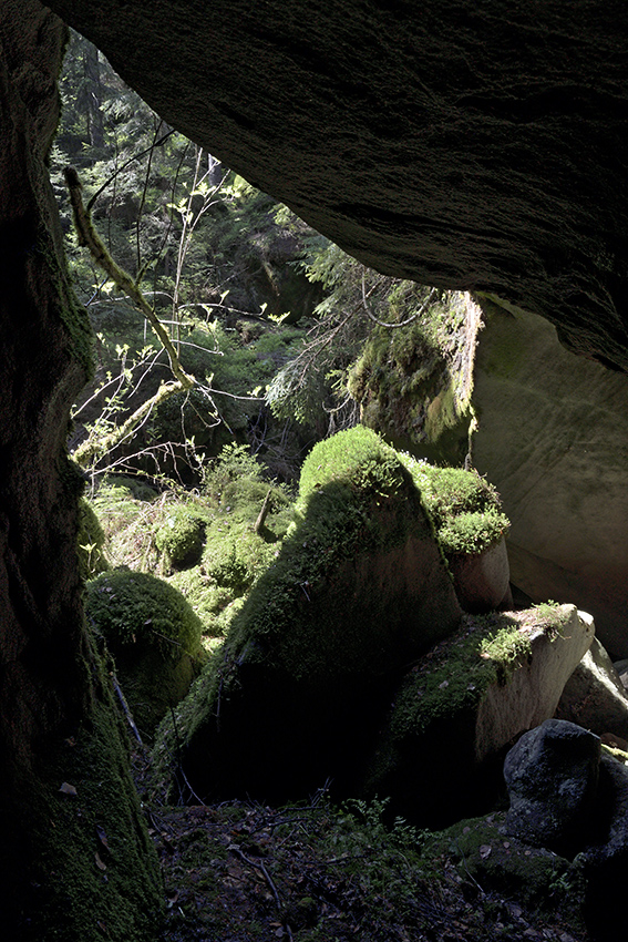 View from the cave - larger format
