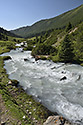 eka Telety - hlavn odkaz