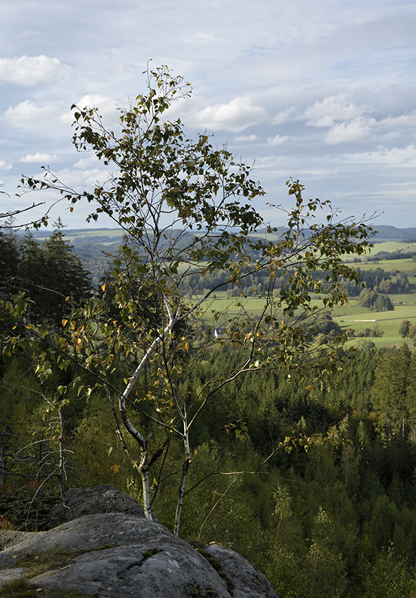 Na skle - vt formt