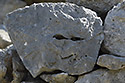 Xicht - hlavn odkaz