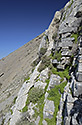 Ve stn - hlavn odkaz