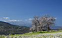 Pod rokl - hlavn odkaz