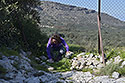 Vstup do arelu - hlavn odkaz