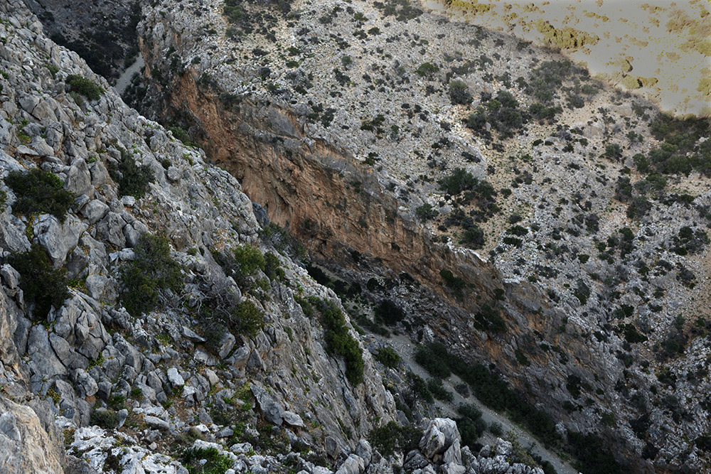 Rokle shora - vt formt