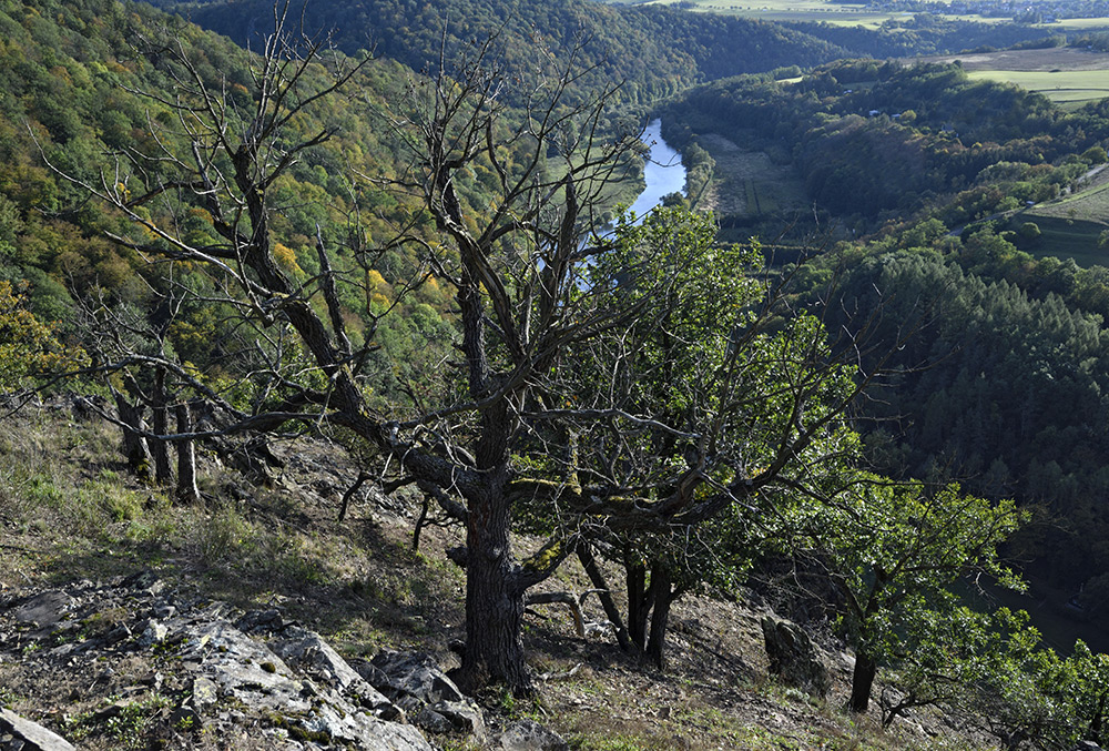 Na Tovickch skalch - vt formt