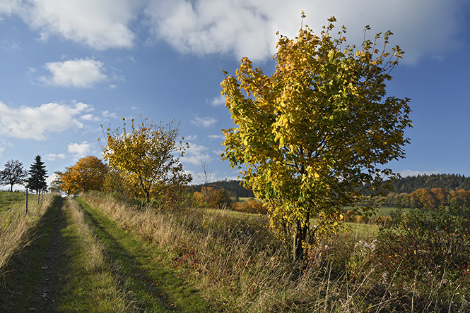 Ve strnch nad Skalkou - men formt