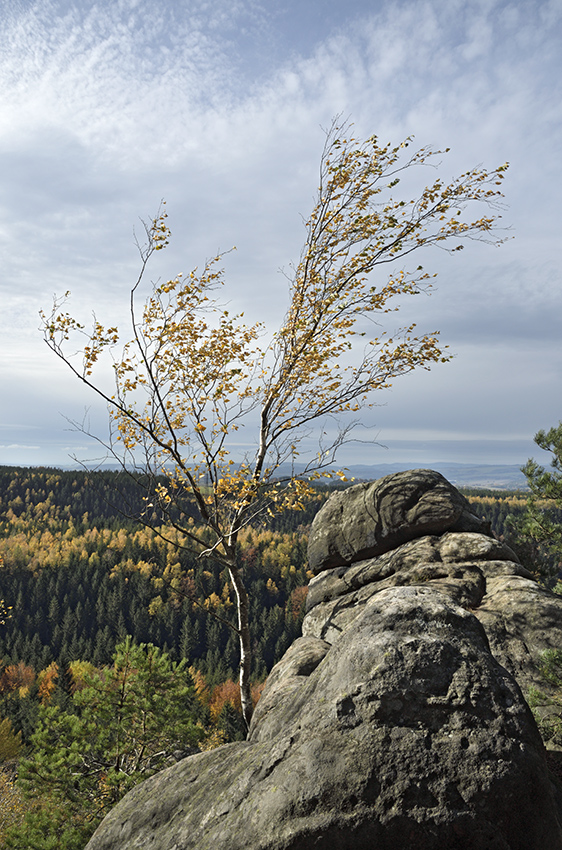 Ve skalch - vt formt