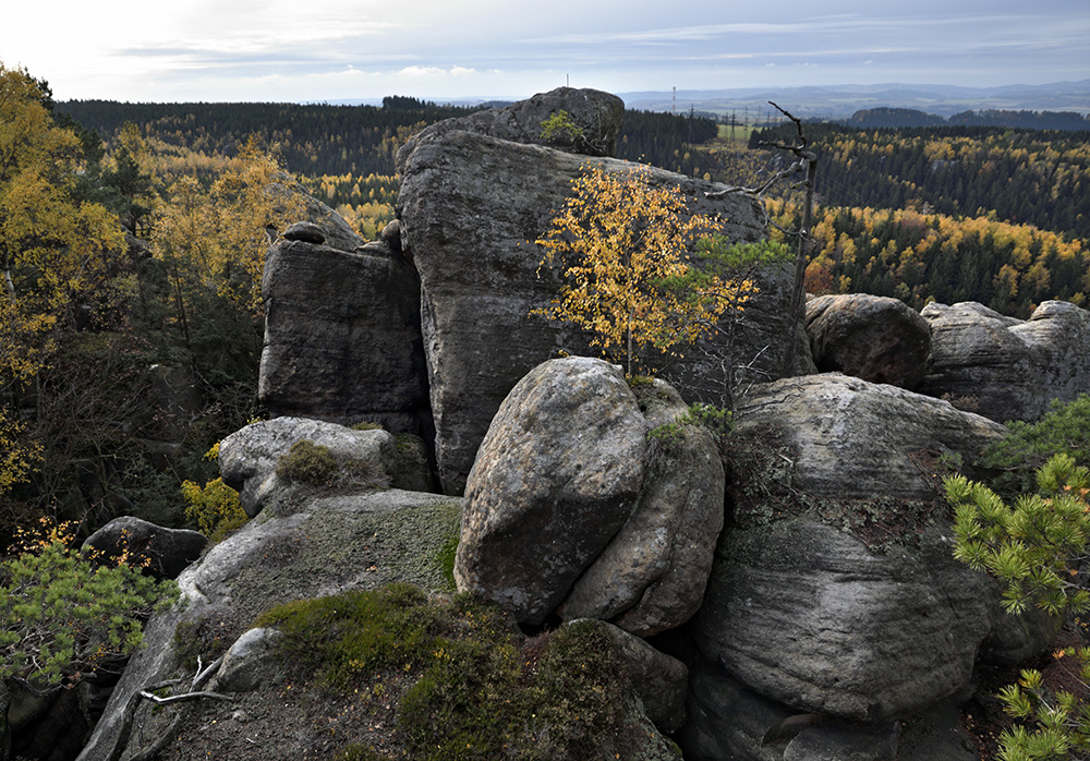 Ve skalch - vt formt