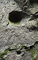 Dry - hlavn odkaz