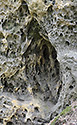 Drobnokresba - hlavn odkaz