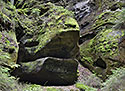 Vorva - hlavn odkaz