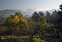 Rno - hlavn odkaz